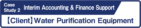 Case Study2 Interim Accounting & Finance Support