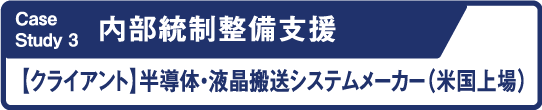 Case Study3 内部統制整備支援 クライアント 半導体・液晶運搬システムメーカー(米国上場)